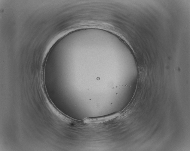 X0000068311531200605051518