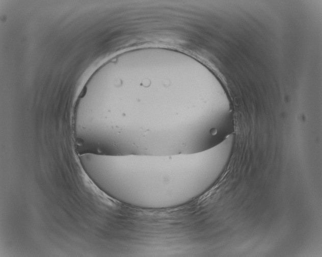 X0000068311532200605051518