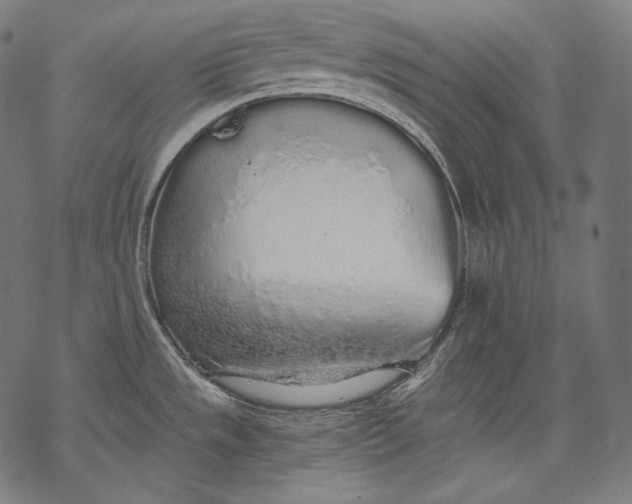 X0000068311533200605051518