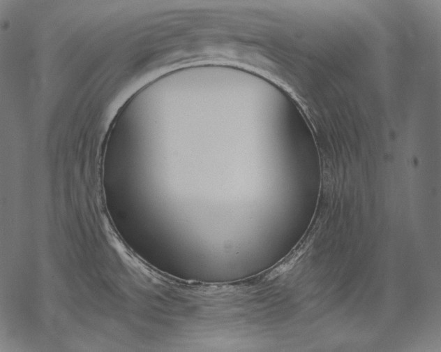 X0000068311534200605051518