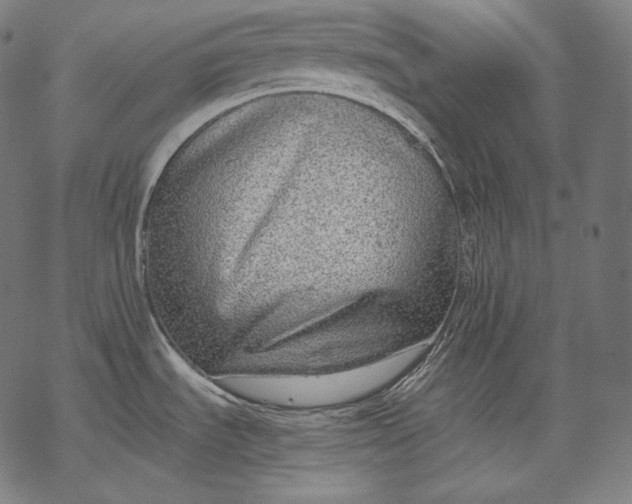 X0000068311535200605051518