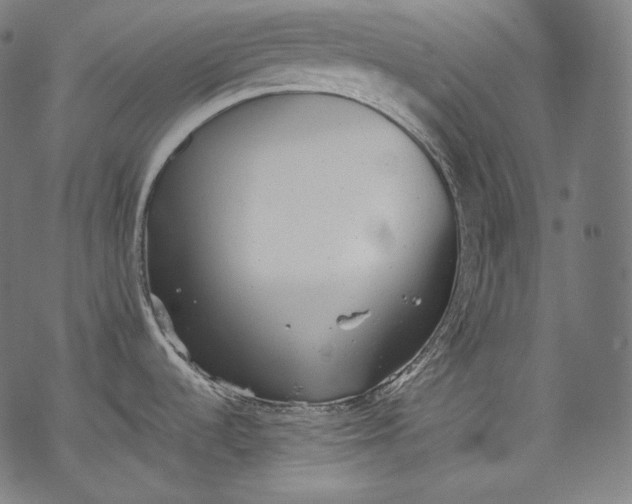 X0000068311536200605051518