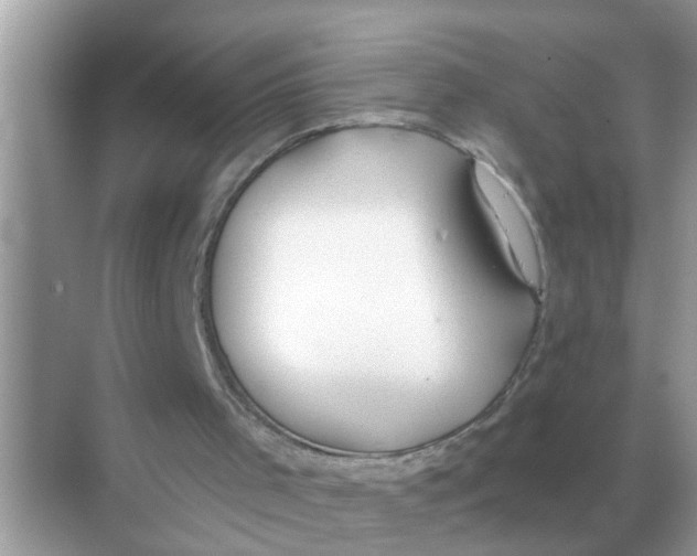 X0000068310001200605122042