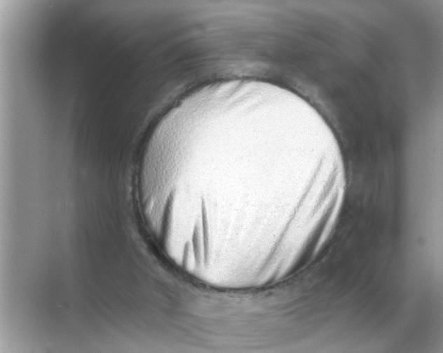 X0000068310010200605122042