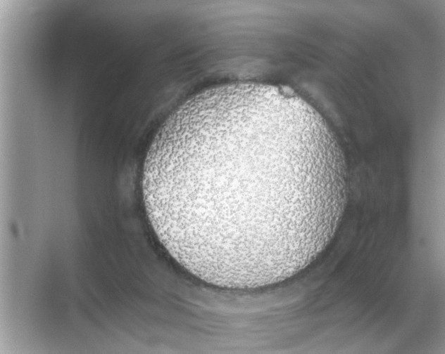 X0000068310018200605122041