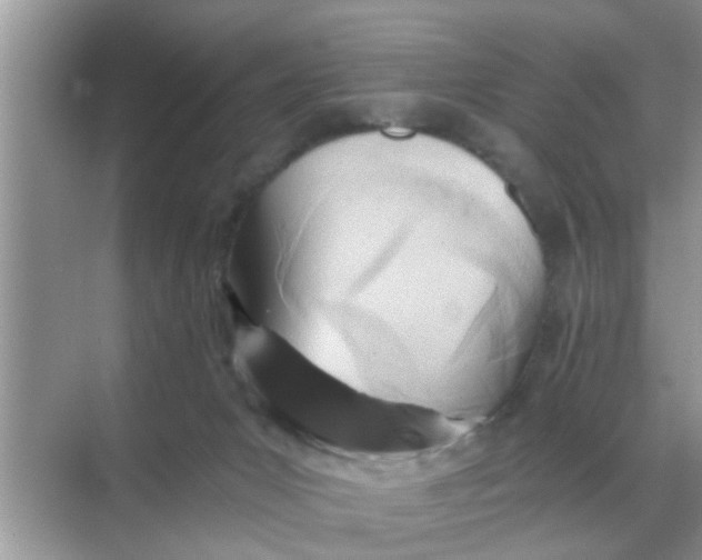 X0000068310031200605122041