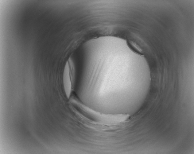 X0000068310035200605122041