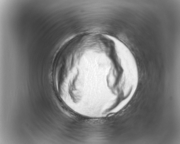 X0000068310050200605122040