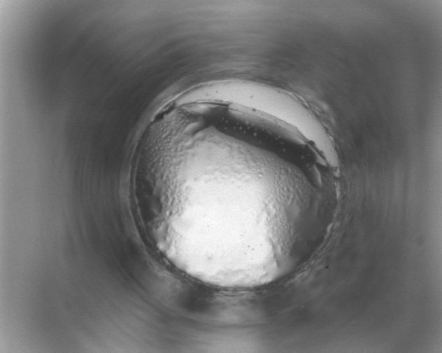 X0000068310051200605122040