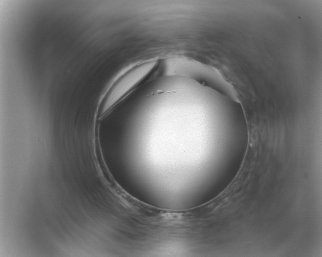 X0000068310052200605122040