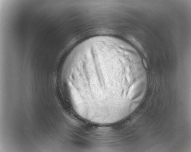 X0000068310063200605122040