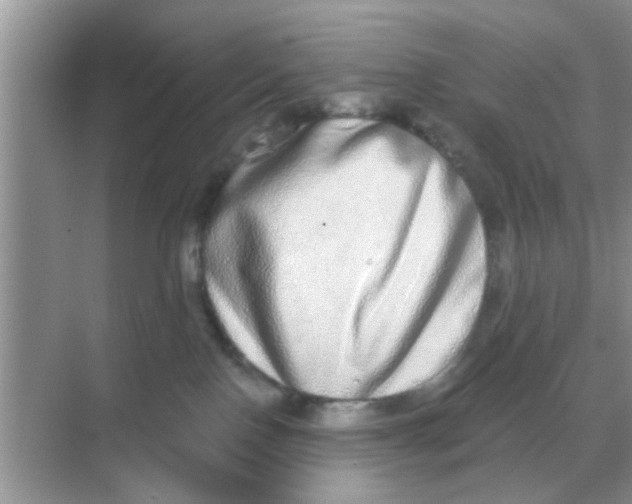 X0000068310090200605122041