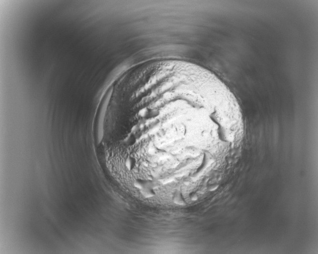 X0000068310099200605122040