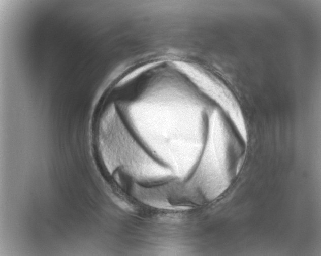 X0000068310102200605122040
