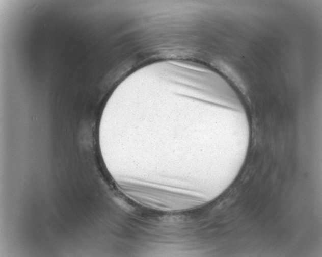 X0000068310105200605122040