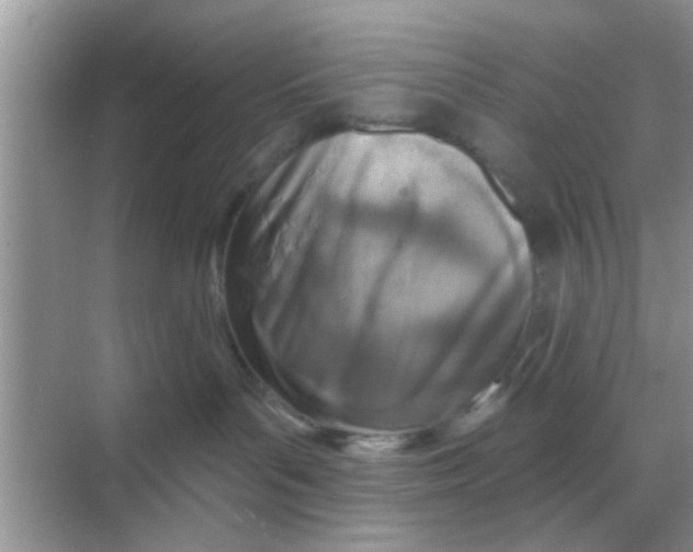 X0000068310143200605122039