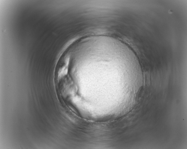 X0000068310147200605122039