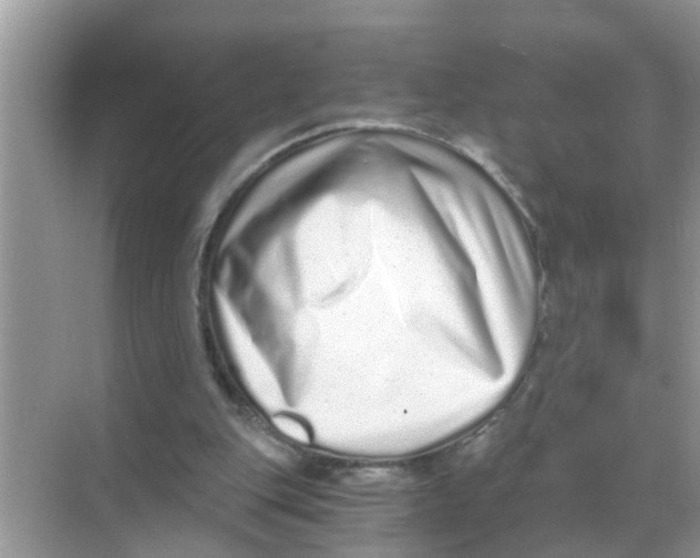 X0000068310151200605122039