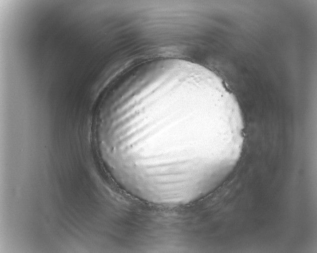 X0000068310194200605122039