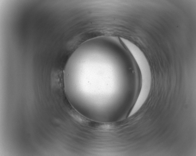 X0000068310237200605122038