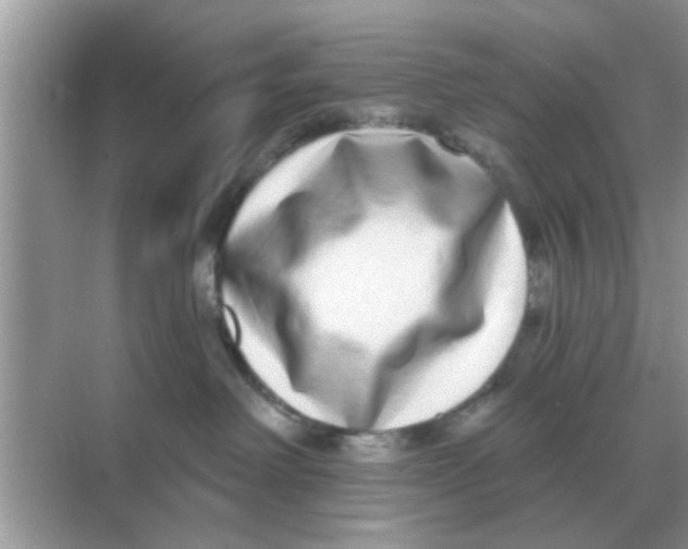 X0000068310238200605122038
