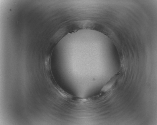 X0000068310239200605122038