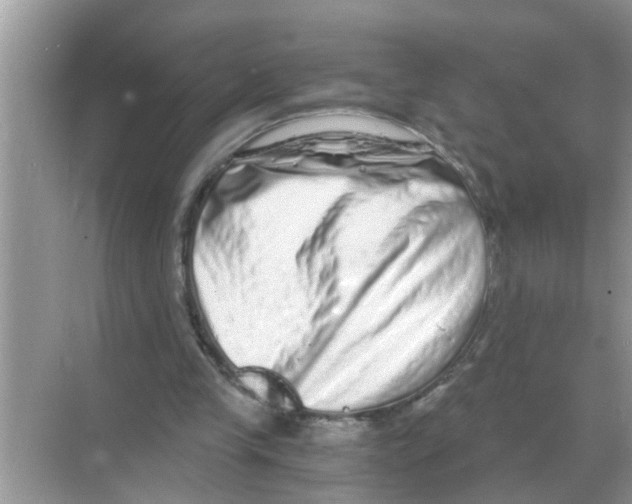 X0000068310245200605122037