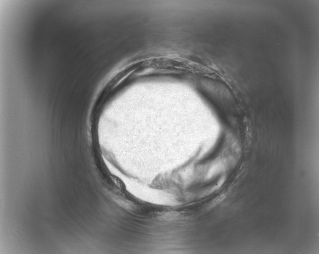 X0000068310246200605122037