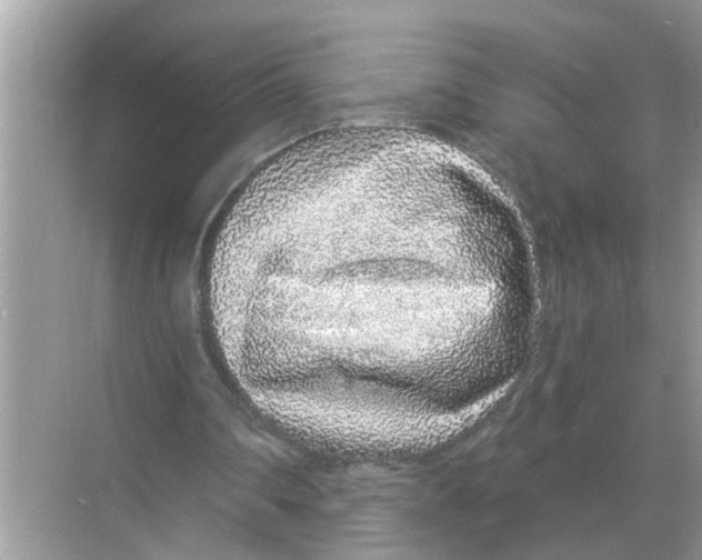 X0000068310290200605122037
