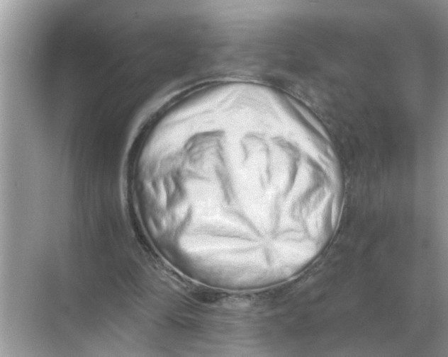 X0000068310294200605122037