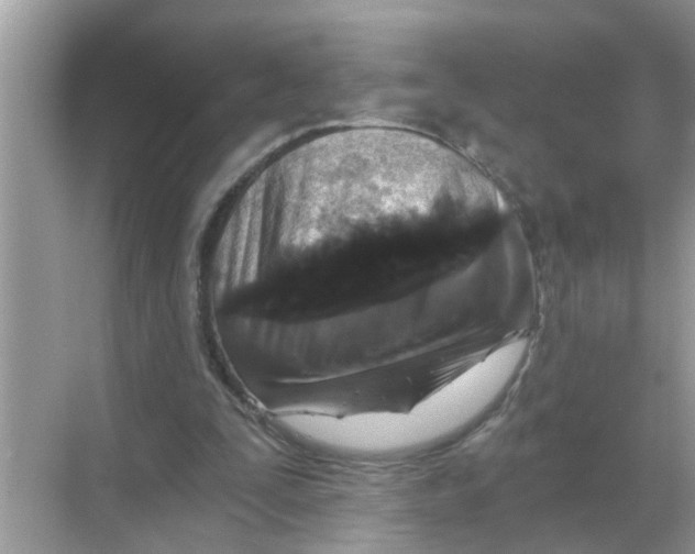 X0000068310295200605122037