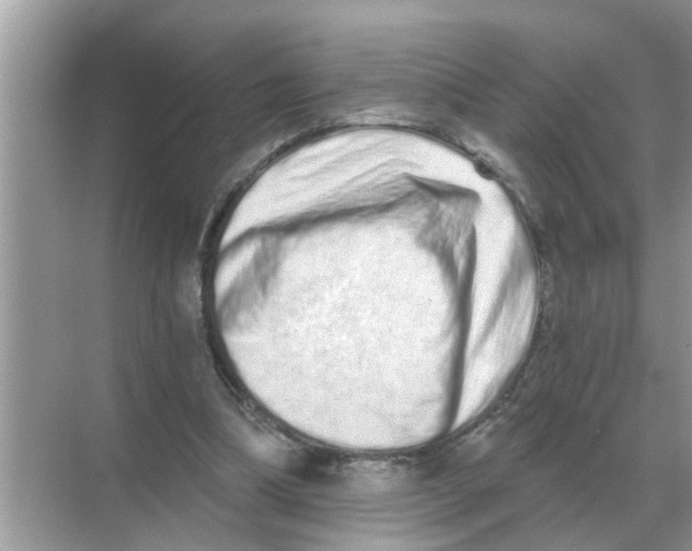X0000068310298200605122037