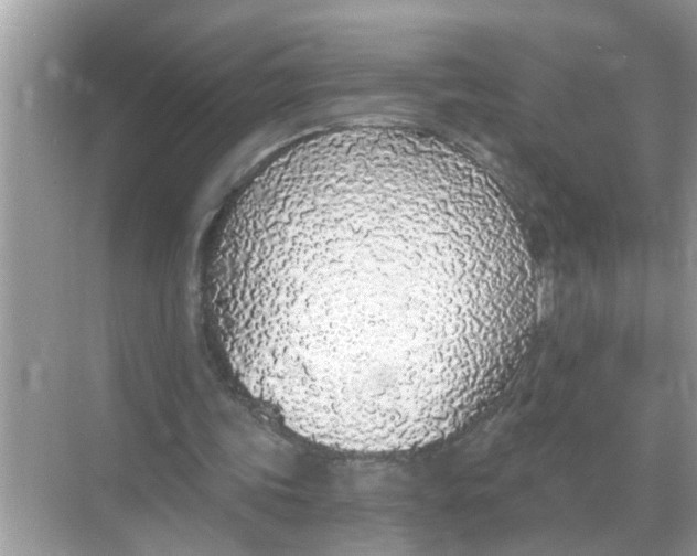 X0000068310339200605122035