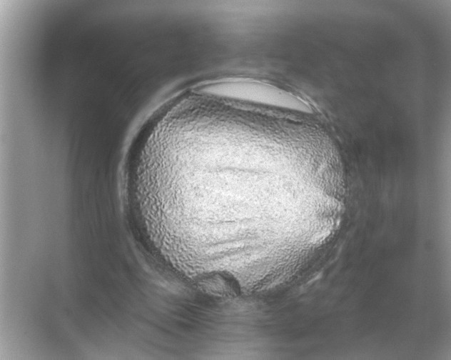 X0000068310343200605122035