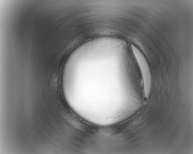 X0000068310357200605122036