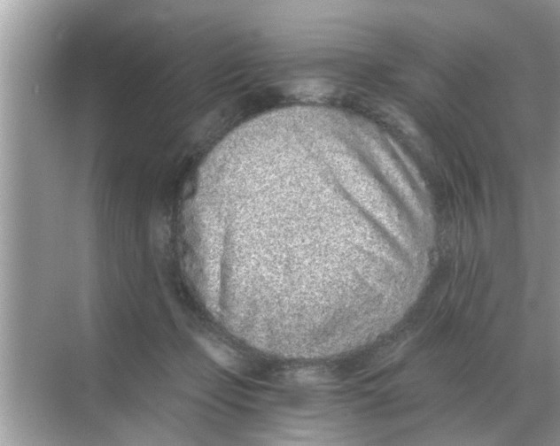 X0000068310365200605122036