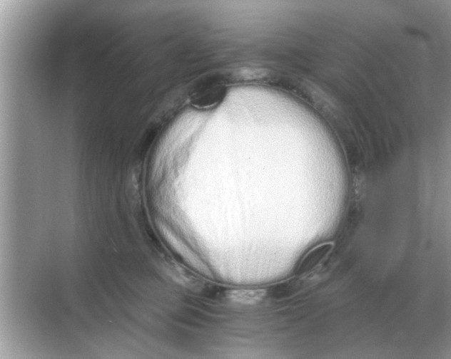 X0000068310373200605122036
