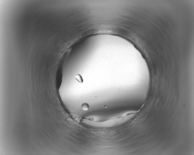 X0000068310385200605122035