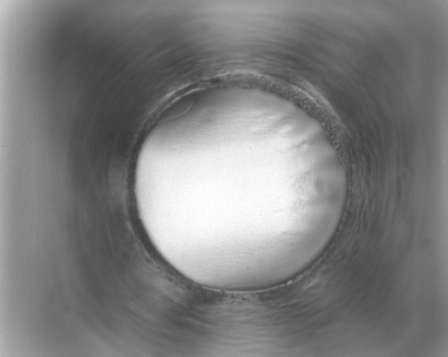 X0000068310386200605122035