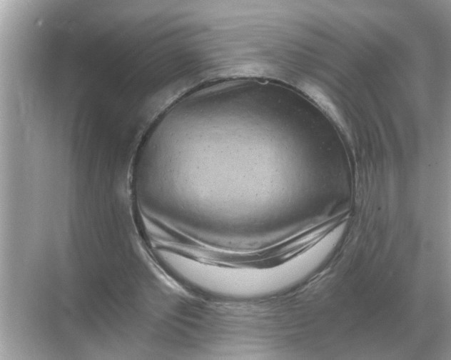 X0000068310389200605122035