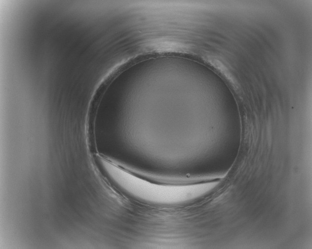 X0000068310391200605122035