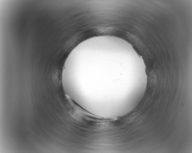 X0000068310428200605122035