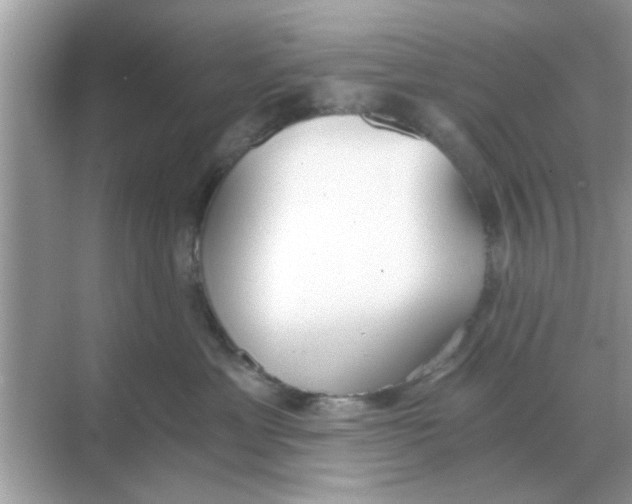 X0000068310429200605122035