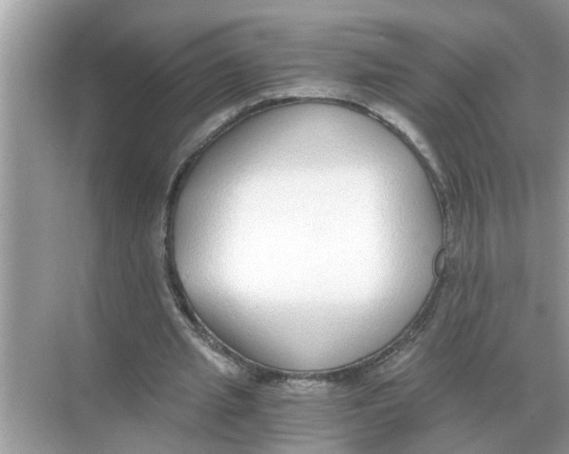 X0000068310437200605122034