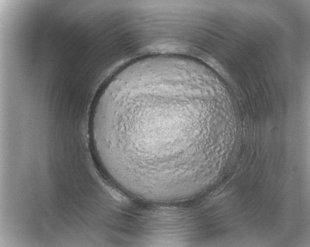 X0000068310438200605122034