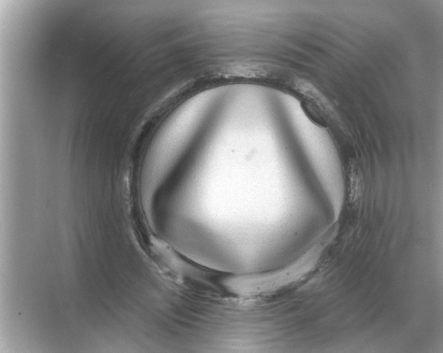 X0000068310444200605122034