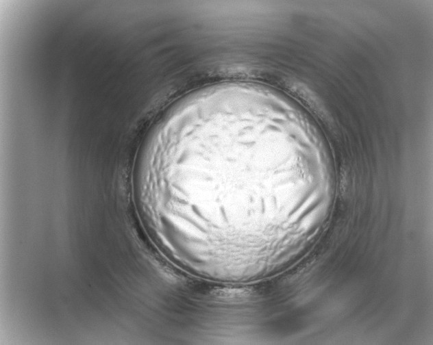 X0000068310449200605122034