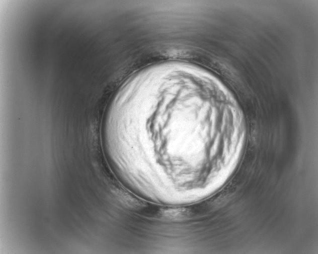 X0000068310461200605122034