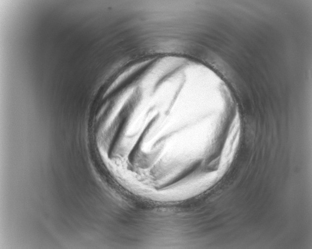 X0000068310482200605122034