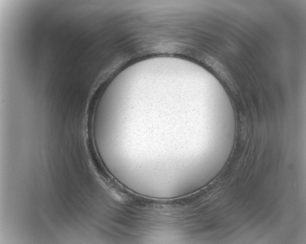 X0000068310486200605122034